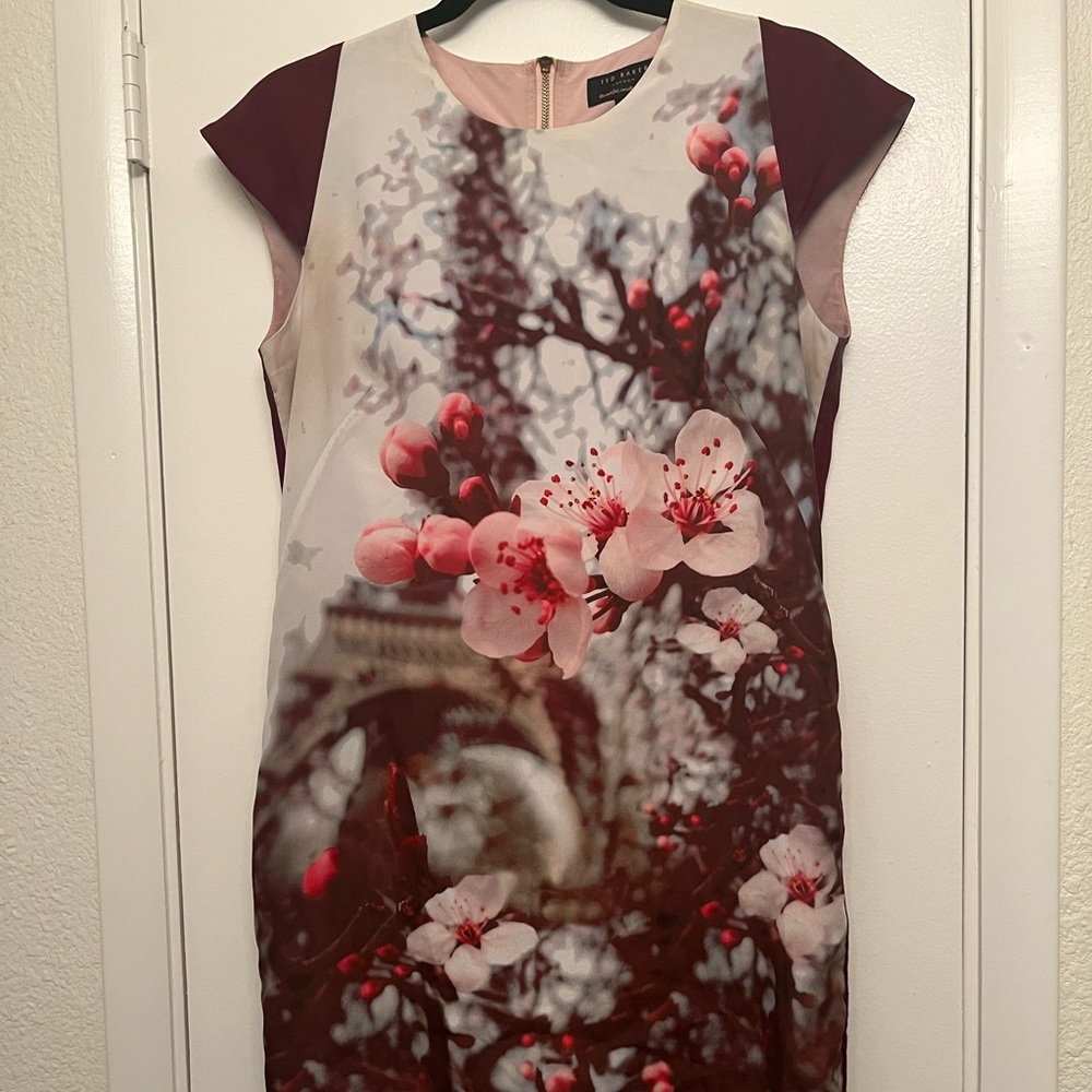 Ted Baker London Size 2 Dress